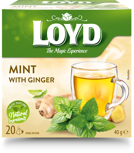 Zāļu tēja LOYD Pyramids piparmētru un ingvera garša, 20 x 2g