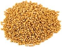 Sinepju sēklas, 1kg